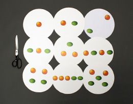 Materials used in Picture Plates.