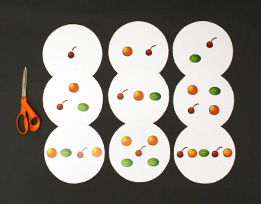 Materials used in Picture Plates Plus One.