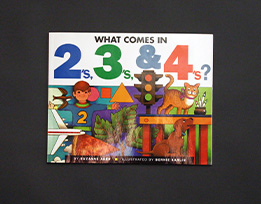 Materials used in What Comes in 2's, 3's, & 4's?.