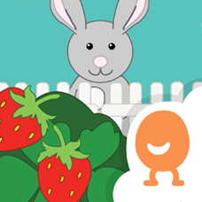 Berry Garden App Icon