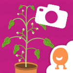 Plants Journal App Icon
