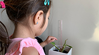 Child measuring a plant.