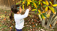 Child pointing at a plant outside.