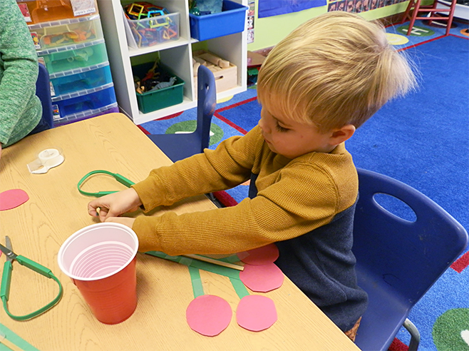 Student uses materials to build a model of a tomato plant.