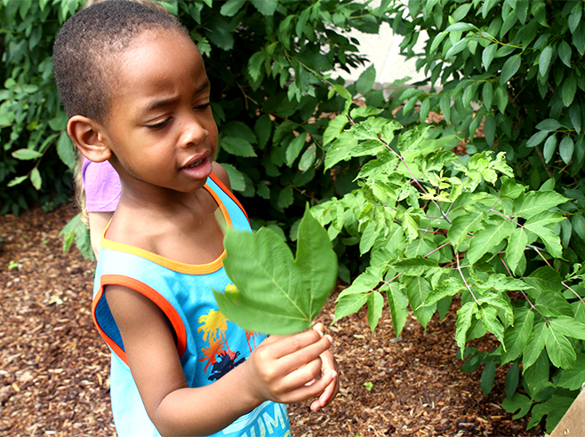 Student holds a leaf outside.