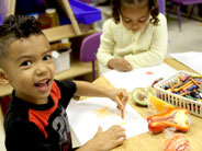 Students drawing pictures of fruits and seeds.