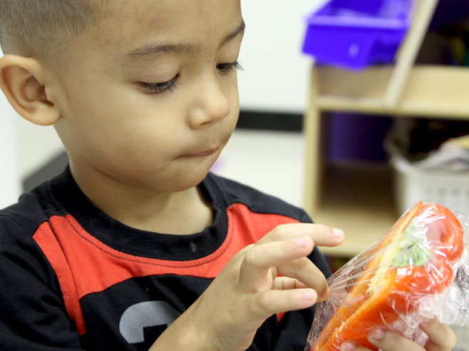 Student examines a pepper.