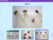 Journal Entries screenshot showing bean sprout images.