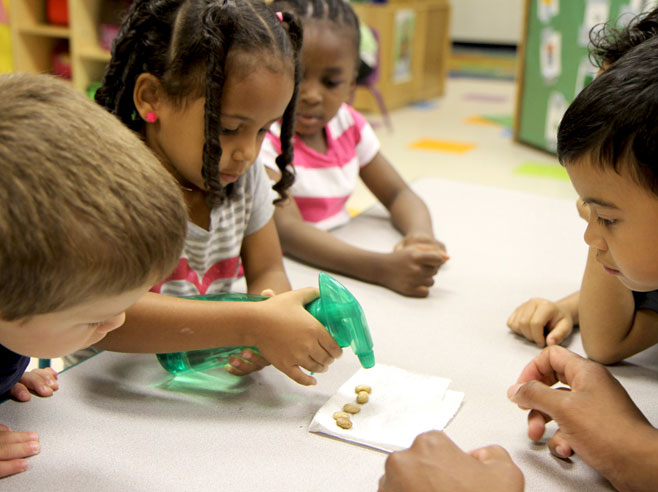 Student spraying bean seeds with a small group of students.