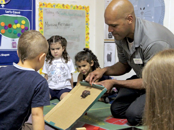 Students look on, as a teacher holds a large box lid at an angle from the floor, and slides a toy plastic turtle down the makeshift ramp.