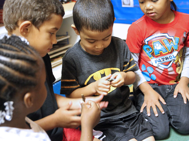 Four students sit on the floor, examining objects of different textures. One holds a stick, while another holds a stone.