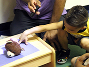 Teacher shining flashlight on stuffed bear. Two students watch.